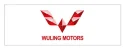 Wuling car